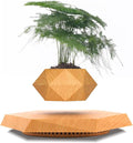 LMingKun Levitating Plant Pot - Floating Plant Pot for Small Plants. Levitating Decor for Home & Office Magnetic Floating Levitating Display (Light Wood Grain)