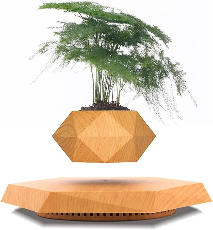 LMingKun Levitating Plant Pot - Floating Plant Pot for Small Plants. Levitating Decor for Home & Office Magnetic Floating Levitating Display (Light Wood Grain)