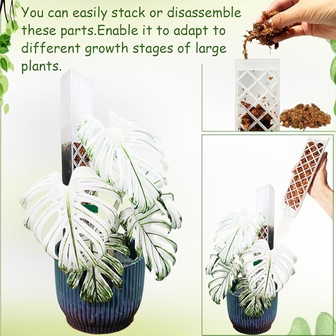MIIIM 6 Pcs Self-Watering Moss Poles, D Shape Moss Pole Kit for Climbing Plants Indoor, Semi Transparent Monstera Plant Support, 69 Inches in Total Length