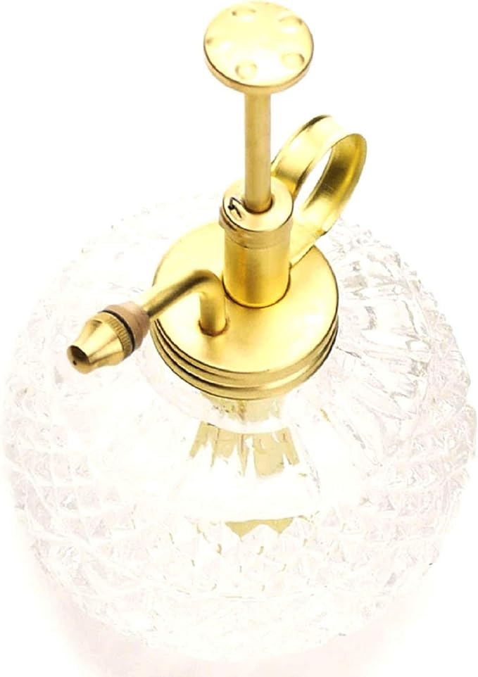 Plant Mister- Clear Color Glass Bottle & Brass Sprayer (Matt Gold)
