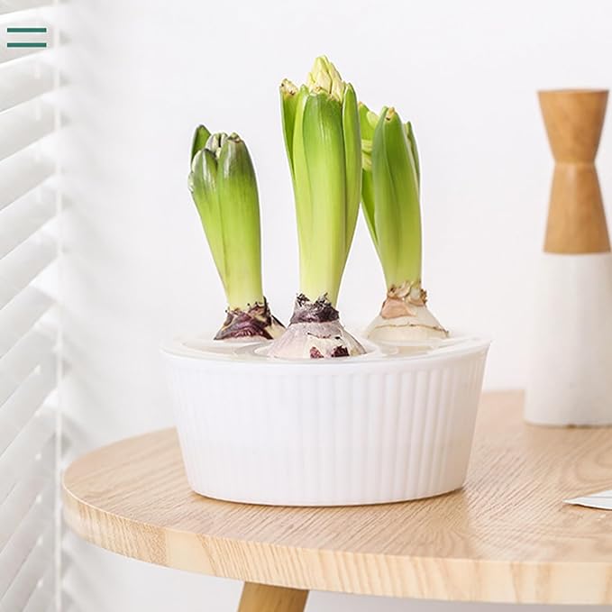 Tulip Planter, Planting Pot 3/5 Hole Design Vertically Ribbed Body Sturdy Base, Bulb Planter for Hydroponic Growing for Tulips Daffodil Bulbs(3Hole-PK)