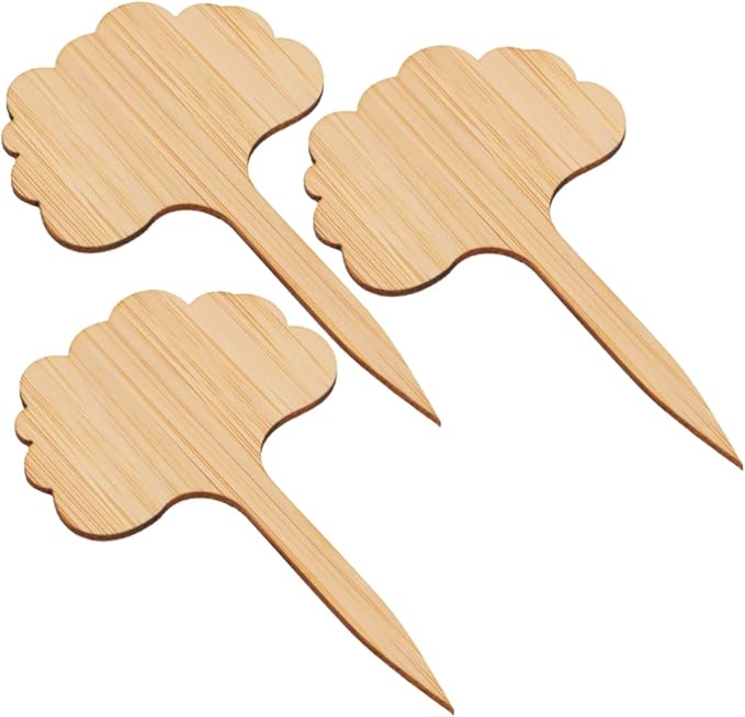 Kisangel 60pcs Indoor Plant Labels Thicken Bamboo Miniature Decor Sign for Succulent Plants Tags