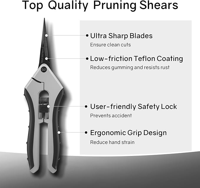 6.5" Ultra Sharp Pruning Shears, 2-Pack Garden Scissors with Stainless Steel Blades, Ergonomic Grip, Rust Resistant, Safety Lock, Trimming Scissors for Plants (1pc Straight & 1pc Curved)