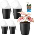 4 Pack of 7in and 5in Double-Layer Self-Watering Pot with Clear nusery Pot - Indoor Planter with Drainage for Root Visibility,semi Hydro pots for repotting Orchids,Aroid or Monstera,Black