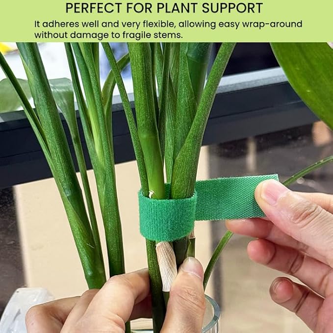 Reusable Plant Ties Hook and Loop Soft Garden Tape Roll Gentle Plant Supporting Ties Double Sided Self Gripping Adjustable Garden Staking Straps for Climbing Plants and Vines (1/2 Inch x 82 ft, Green)