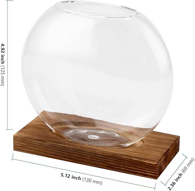 HAKZEON 4 Pack Desktop Round Glass Planter Hydroponics Vase, Glass Planter Terrarium Flower Vase with Wooden Stand, Propagated Plant Jars for Plants, Flower, Home Office Desktop Decor