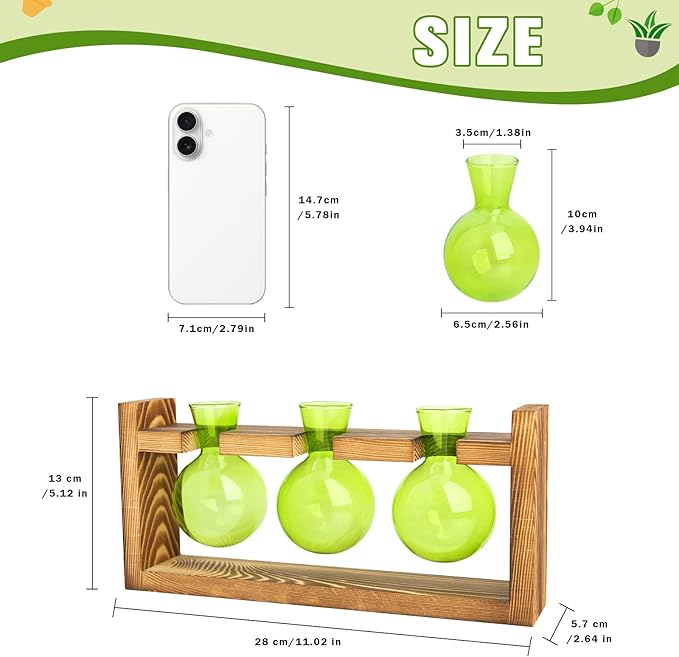 XXXFLOWER 3 Bulb Glass Propagation Station with Wooden Stand, Propagation Vase Propagated Plant Holders Tabletop Planter, Gardening Hydroponics Gift Home Office Indoor Decor (Green)