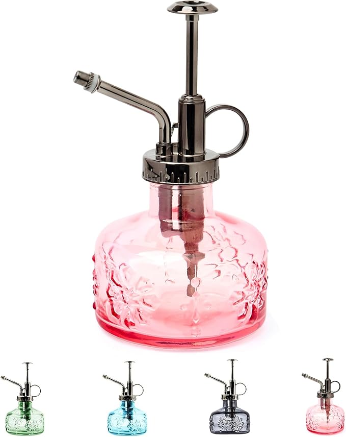 XXXFLOWER Glass Plant Mister Spray Bottle+ Plant Terrarium Propagation Stations