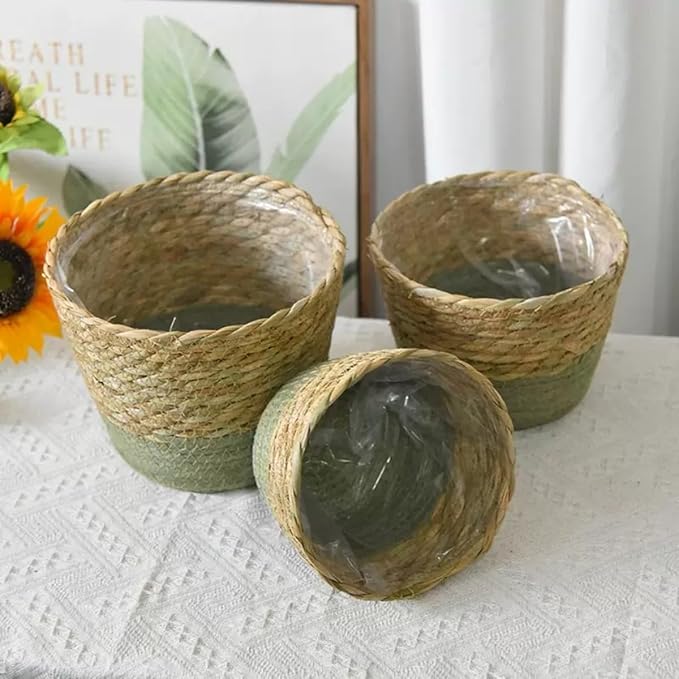 Seagrass Round Wicker Planter Basket with Plastic Liner, Handmade Woven Basket Flower Pot for Indoor Plants and Flower, Boho Home Decor, Bread & Fruit Storage Basket (Green,Set of 3)