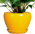 Ceramicfor Ceramic Pot for Plants - 6 Inch Plant Pot Glaze Modern Decorative Round Planter with Drainage Hole and Saucer for Home Patio Room Office House Decor, Yellow