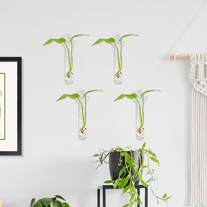 4PCS Wall Hanging Planter Propagation Stations, Plant Tube with Suction Cup Hook, Test Tube Propagation Station Wall Clear Plant Vase No Nails with Bottle Brush Flower Plant Terrarium