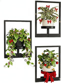 Bamworld Hanging Planters for Indoor Plants Wall Decor Living Room Plant Stand Indoor Wall Planters Plant Hanger Window Plant Shelves 3 Pack for Outdoor Entryway