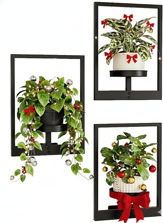 Bamworld Hanging Planters for Indoor Plants Wall Decor Living Room Plant Stand Indoor Wall Planters Plant Hanger Window Plant Shelves 3 Pack for Outdoor Entryway