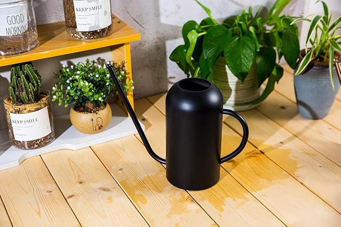 Long Spout Watering Can Metal 40oz/1.3L,Stainless Steel Watering Pot for Outdoor and Indoor House Plants, Matte Black