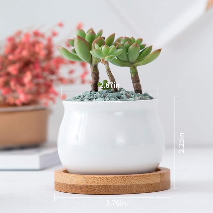 Brajttt Succluent Pots ，Small Flower Pots Planter Pots with Drinage,Ceramic Flowers Pots with Bamboo Tray for Cactus(12 Pack