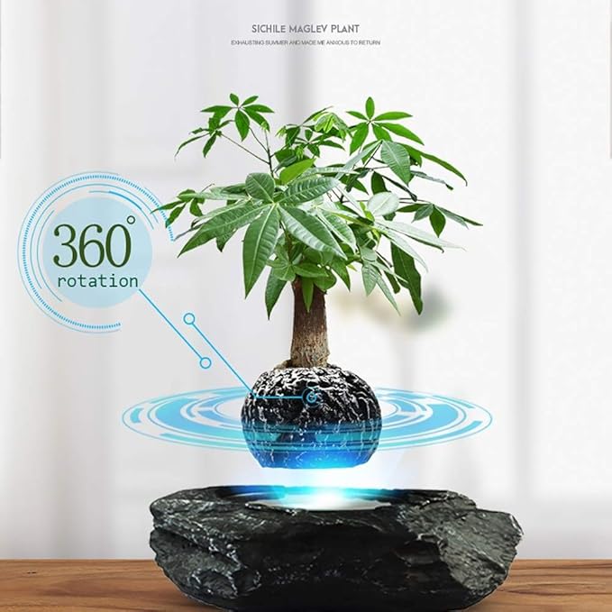 Floating Flower Pot - Magnetic Suspension Levitating Air Flower Pots - Creative Design Levitation Bonsai - Home Office Decorations - Fun Gift,Grey