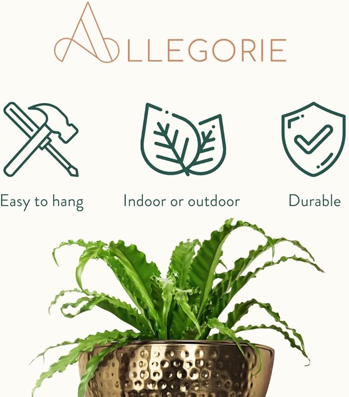 Allegorie Metal Wall Planter | Indoor or Outdoor Hanging Plant Pot | Farmhouse Decor & Boho Kitchen Decoration for Herbs & Succulents and Living Wall 12x7 (Gold)