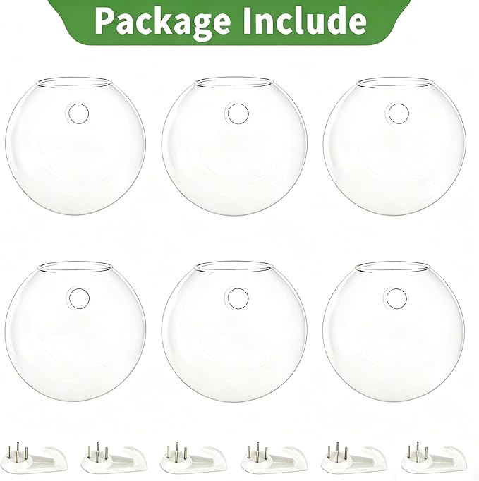 NUPTIO Wall Hanging Planter Terrarium: 4 Inch Glass Air Plant Holder 6PCS Propagation Indoor Floral Vase Flat Round Hydroponic Container Wall-Mounted Floating Pots for Bathroom Balcony Greenhouse