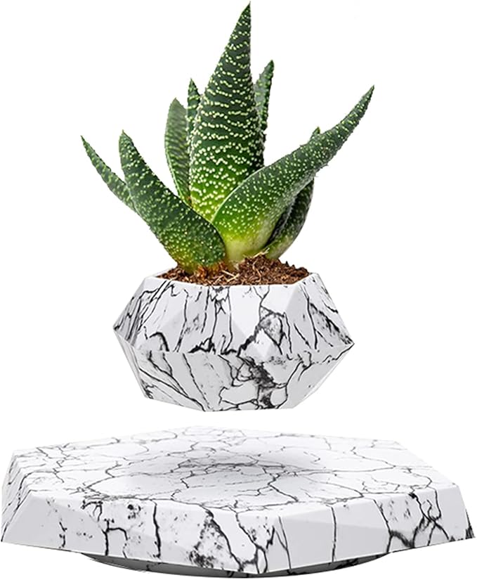 Levitating Plant Pot Air Bonsai & Air Plants Magnetic Floating Planter for Succulents Home Office Desk Decor