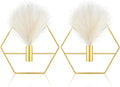 Peryiter 2 Pcs Boho Wall Decor Metal Gold Wall Art Hanging Planters with Artificial Pampas Modern Home Decor Display Art for Living Room Bedroom Bathroom(Hexagon)