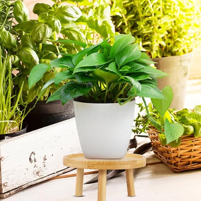 DOITOOL 5 Inch Wooden Indoor Plant Stand Succulent Pot Holder Decorative Flowerpot Raiser Tray for Living Room Patio Garden Display