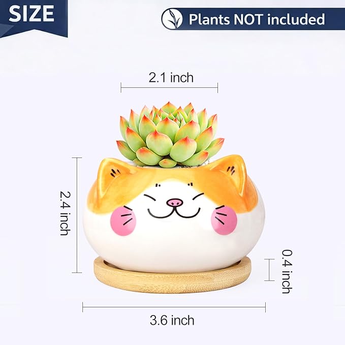 Cute Cat Animal Ceramics Planter Succulent Pot with Drainage, Plant Pot for Indoor Mini Plants Flower Cactus, Home and Garden Decor Fun Gifts
