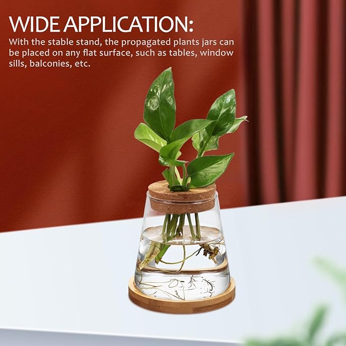 2pcs Glass Plant Propagation Station with Wooden Base Hydroponic Plants Vase for Indoor Decor Glass Terrarium Vase Jars Home Kitchen Decorations and Gifts for Planter Lovers