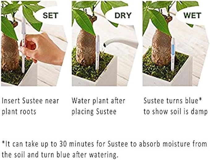 Sustee Aquameter (Small Green Refillable - Bundle of 2) - House Plant Soil Moisture Meter, Humidity Sensor Probe, Water Level Indicator - Best for Indoor Potted Plants