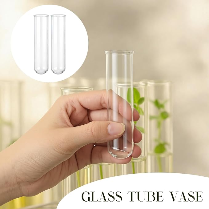 Kingdder 12 Pcs Glass Plant Propagation Tubes Station Accessories Replacement Glass Test Tubes Tiered Planters Wall Terrarium for Home Office Plant Hanger Flower Vases Wall Decor Hydroponic Cuttings