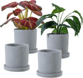 MyGift 4 Inch Unglazed Gray Concrete Planter, Cylindrical Cactus Herb Succulent Planter Pots with Removable Drainage Trays, Set of 4