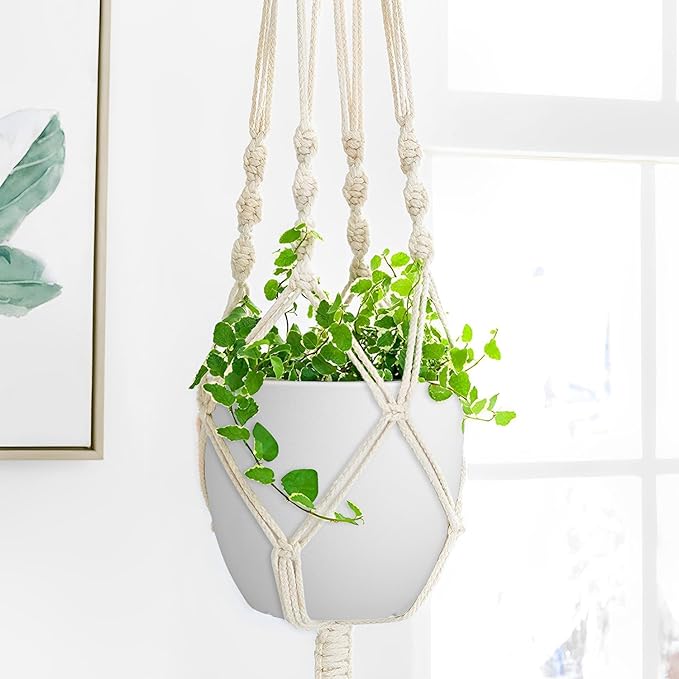 Ferlypote Plant Pots 8 Inch Set of 2, Flower Pots with Multi Mesh Drainage Holes, Planters for Indoor Outdoor Garden Plants and Flowers (White)