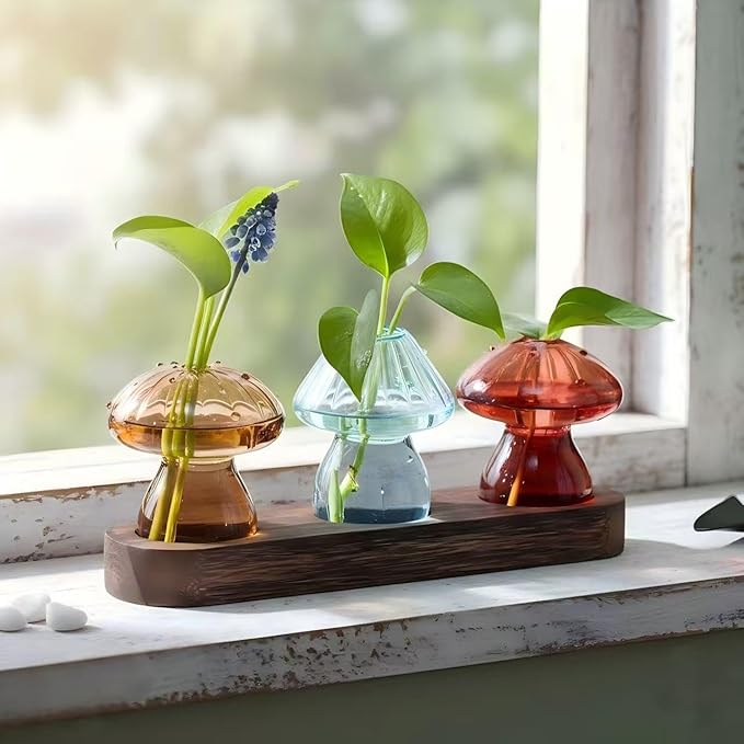 Plant Propagation Stations Mini Vase Set, Set of 3 Colored Glass Vases for Indoor Plants, Mini Plant Terrarium for Home Garden Window Office Mushroom Decoratioins