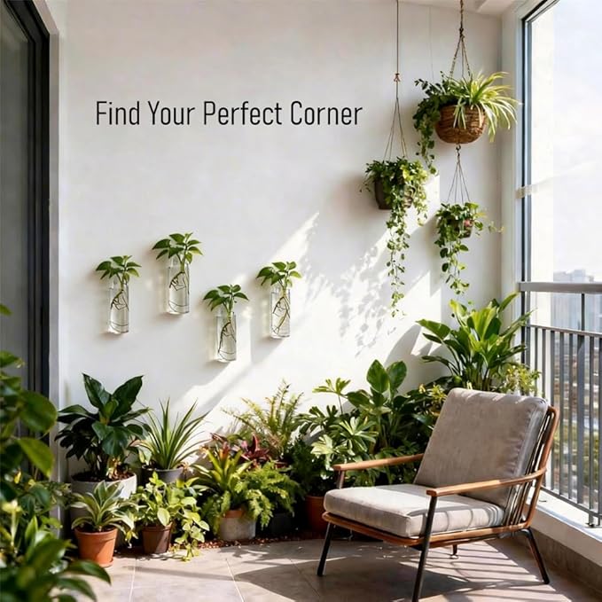 Wall Planters for Indoor Plants, 4 Pack Glass Wall Planters for Propagation, Hanging Terrarium Planters with Hooks for Hydroponic Plants, Flowers, Home Office Bathroom Decor