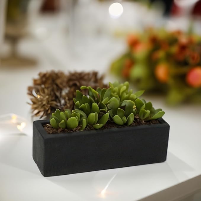 WGVI Long Rectangle Ceramic Planter Vase in Black 12" x 4" x 4"H, Block Rectangular Terrarium Box Pot, Flower Arrangement, Table top Centerpiece, Home Decor Organization Storage Container, 6 Pcs.