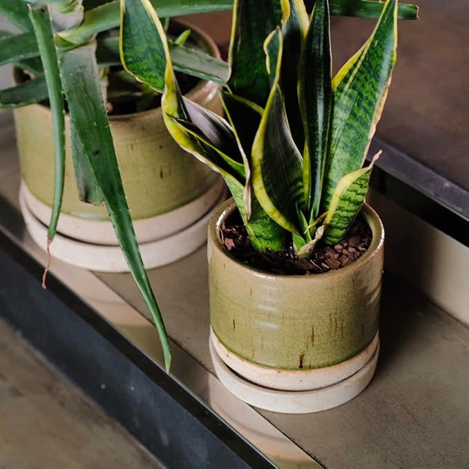 HERDUK 6 + 8 Inch Plant Pots, Ceramic Planter Pot with Drainage Hole & Saucer, Indoor/Outdoor Cylinder Round Planter Pot, Green