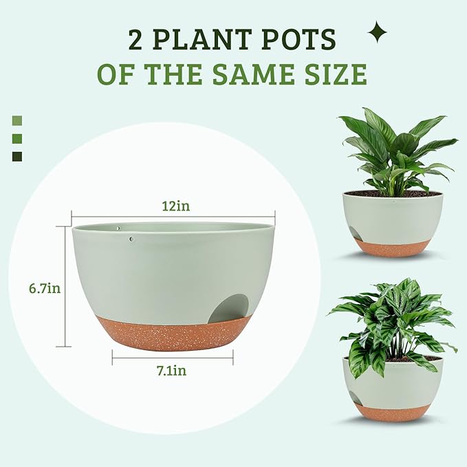 Vanslogreen Plant Pots 12inch Self Watering Pots, Set of 2 Plastic Planters with Drainage Holes and Saucers, Flower Pots for Indoor Outdoor Plants (Green)