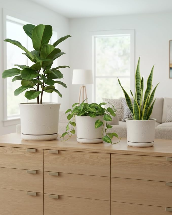 Ceramic Plant Pots Set of 3 with Saucers, 4.3/5.5/7 Inch Planters for Indoor Plants, Drainage Hole Flower Pots for Succulents, Herbs, Aloe, Modern Home Decor, White