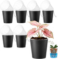 6 Pack of 6in Plastic Cachepot with 6 inch Clear nusery Pot - self Watering Indoor Planter with Drainage for Root Visibility,semi Hydro pots for repotting Monstera,Orchids,Aroid,Black