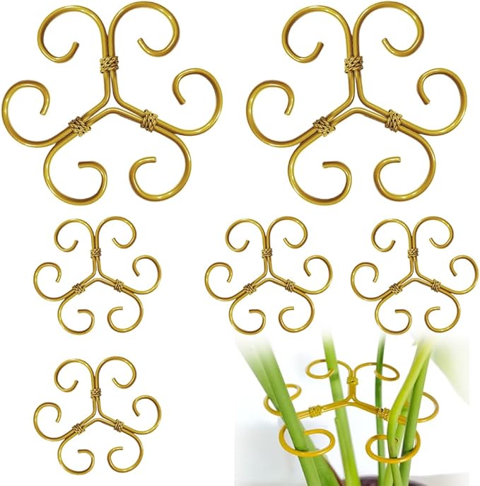 BADAO 6pcs Monstera Plant Support,Iron Stabilizer Grapple Holder for Indoor Plants,Outdoor Moss Pole Monstera Plant Support for Garden Flower Arranger(Gold)