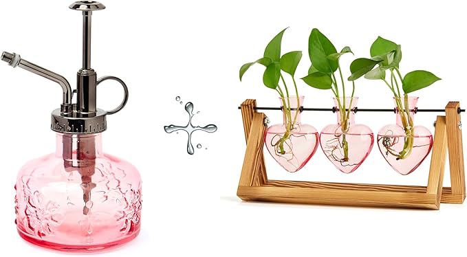 XXXFLOWER Glass Plant Mister Spray Bottle+ Plant Terrarium Propagation Stations