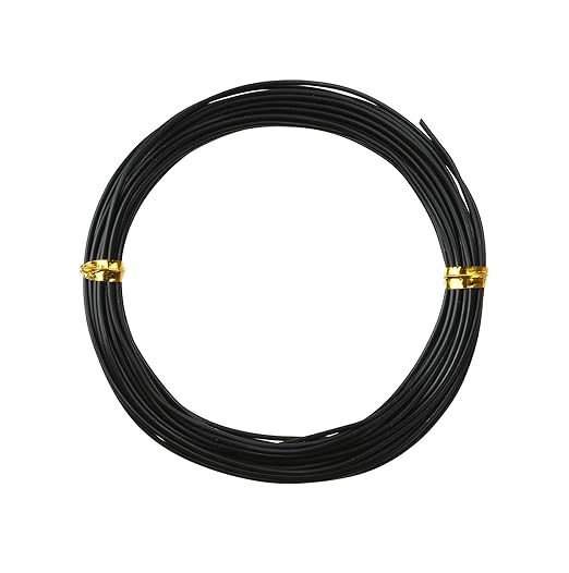 Bonsai Wire, 1 Roll Aluminum Bonsai Training Wires, 98 Feet 1mm Plant Training Wires Black Plant Wires Aluminum Wire for Bonsai Tree Training Indoor DIY Crafts
