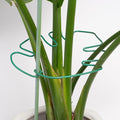 Yohsnor 5PCS Monstera Plant Stem Support 7.3*6.25IN Adjustable Holder for Indoor Plants, Durable Metal Structure with Gentle Clips, Perfect for Fishbone Cactus & Climbing Plants, Ideal Gardening Gift