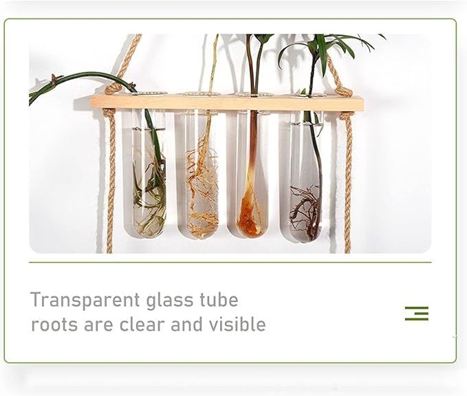 Yunseity Wall Mounted Plant Terrarium, Widely Used Plant Propagation Station, Space Saving, 8 Holes, 2 Tier Design, Test Tube Style, Easy Assembly for Family (Original Wood Color)