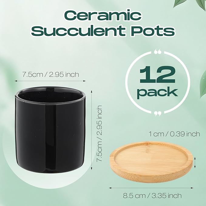 Cindeer 12 Pack Small Succulent Plants Pots 3 Inch Ceramic Flower Planter Pot and Bamboo Tray with Drainage Hole for Succulents Cactus Indoor Garden Decorations, Plant Not Included(Black)