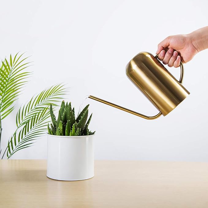 Stainless Stee Watering Can for Indoor Plants and Garden, Watering Pot 40oz/3gallon, Gold