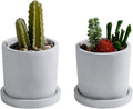 MyGift Set of 2 Mini 4-Inch Gray Cement Succulent Planters – Modern Unglazed Concrete Plant Pots with Removable Saucers