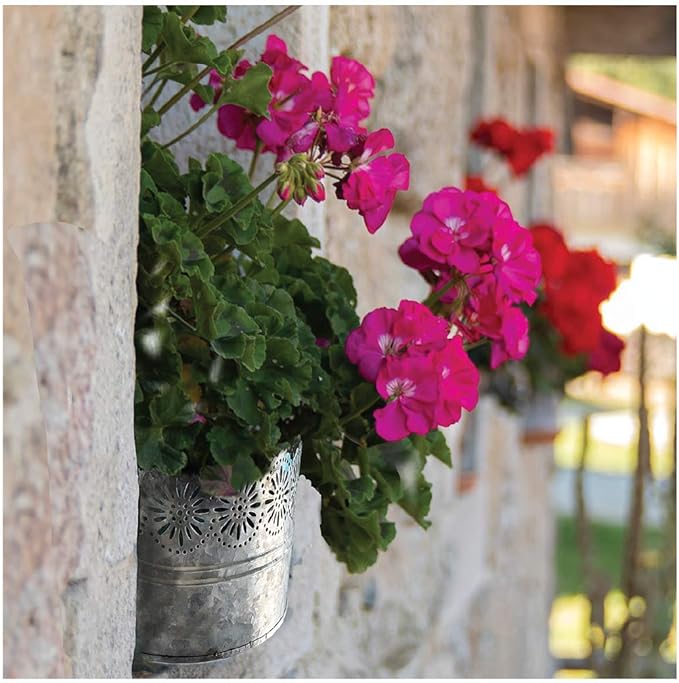 Lily's Home Indoor Outdoor Wall Mounted Planter with Floral Accents for Succulents, Cacti, Herbs, Faux Plants, Galvanized Metal. Plants Not Included