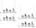 2-Pack Adjustable Clear Acrylic Plant Stands for Windows – 16" Transparent Hanging Window Plant Racks for Indoor Garden, Herbs, or Home Decor in Kitchen & Bedroom