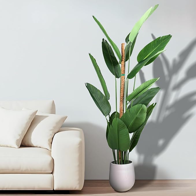 1 Pack 48'' Bendable Moss Pole Monstera Plant Support for Climbing Indoor Plants - Stakes for Potted Climbers (1)