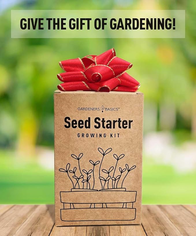 Beginner Indoor Garden Lettuce Kit - Includes Romaine, Buttercrunch Lettuces, Spinach, Arugula, and Kale Heirloom Seeds, Pots, Soils and Plant Markers - Complete Indoor Vegetable Garden Starter Kit